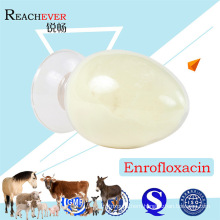 Manufacturer Supply Veterinary Drug Enrofloxacin Lactate